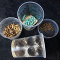 Chameleon Sample Value Pack